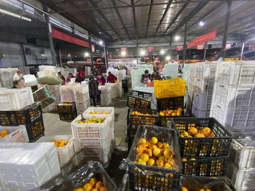 智慧客服高效应答，天猫双11点亮蒲江水果产业新图景